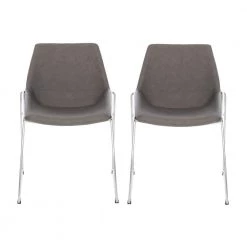 Alexis Ash/Silver Side Chair (Set of 2) by SAFAVIEH
