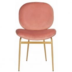 Jordana Pink/Gold Side Chair (Set of 2) by SAFAVIEH