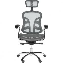 Jarlan Gray/Silver Swivel Office Chair by SAFAVIEH