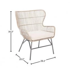 Lenu Gray/Off-White Side Chair by SAFAVIEH -Safavieh Sales Store gray white wash safavieh accent chairs ach6510a 40 1000
