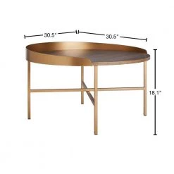 Prague 30.5 in. Light Gray/Gold Coffee Table by SAFAVIEH -Safavieh Sales Store light gray oak gold safavieh coffee tables cof4208a 40 1000