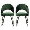 Jora Green/Black Dining Chair (Set of 2) by SAFAVIEH -Safavieh Sales Store malachite green velvet black safavieh dining chairs fox6296e set2 64 1000