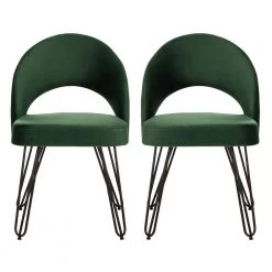 Jora Green/Black Dining Chair (Set of 2) by SAFAVIEH