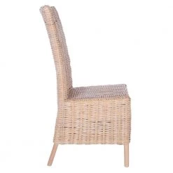 Allen Beige Side Chair by SAFAVIEH -Safavieh Sales Store natural white wash safavieh accent chairs ach6506a set2 4f 1000