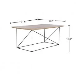 Rylee 39.4 in. Beige/Black Coffee Table by SAFAVIEH -Safavieh Sales Store taupe black safavieh coffee tables cof4202c 40 1000